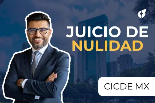 Juicio de Nulidad