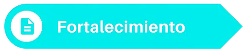 Fortalecimiento CICDE