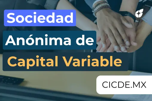 S.A. de C.V.