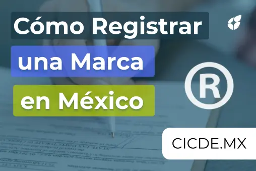 Cómo registrar una marca en México 2026 paso a paso