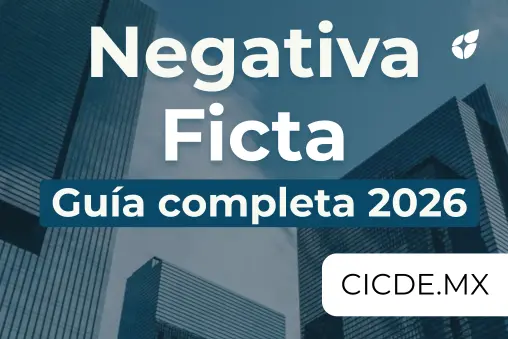 Negativa Ficta Guía SAT